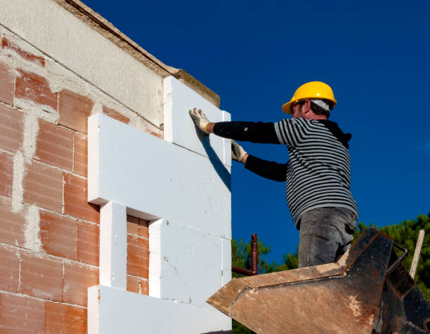 Best Insulation Installation Services in St Louis, MO