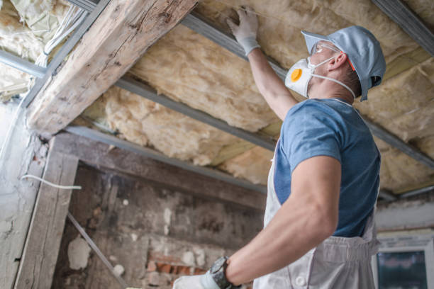 Best Insulation Maintenance and Repair in St Louis, MO