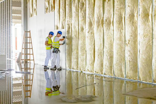 Best Commercial Insulation in St Louis, MO